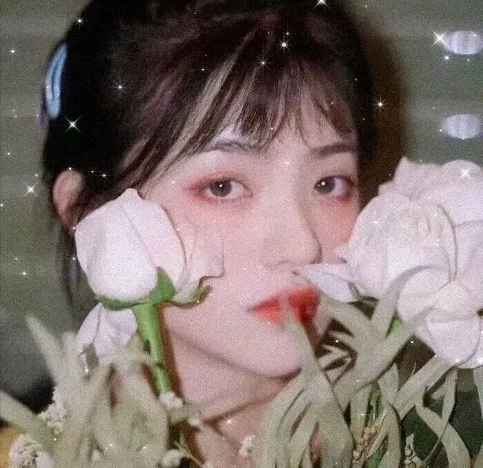 海南白影